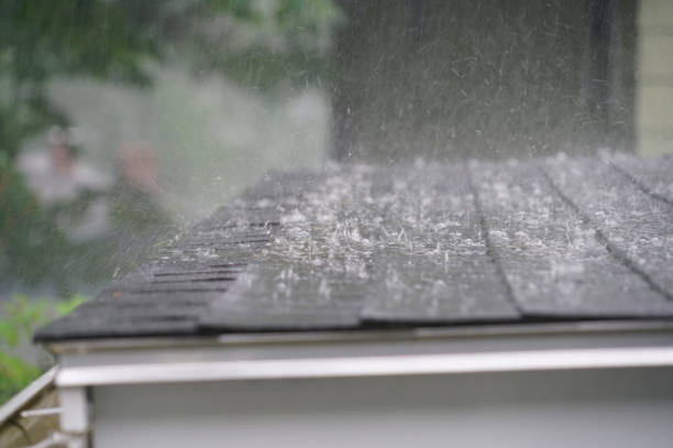 Reliable Roebuck, SC Roofing Solutions
