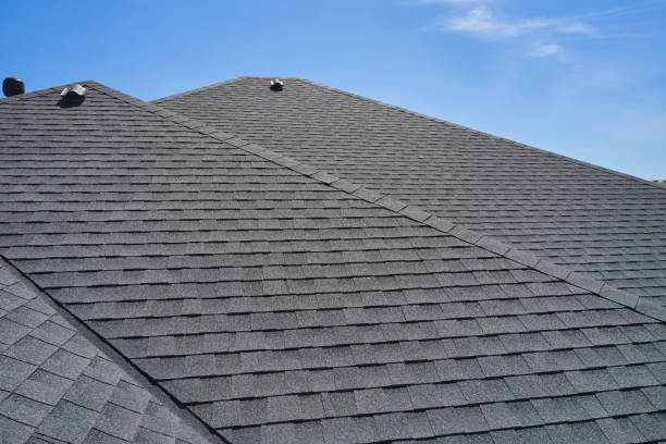 Best Roof Ventilation Installation  in Roebuck, SC