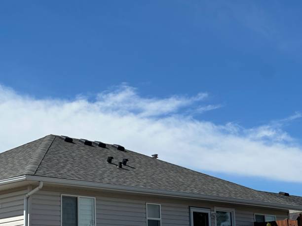 Best Wood Shake Roofing  in Roebuck, SC